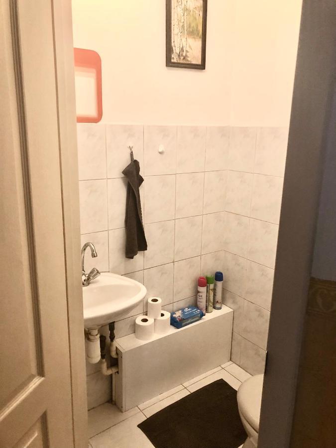 Large Apartment With Garage And Terrace Budapeszt Zewnętrze zdjęcie